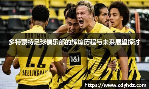 多特蒙特足球俱乐部的辉煌历程与未来展望探讨
