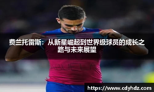 费兰托雷斯：从新星崛起到世界级球员的成长之路与未来展望